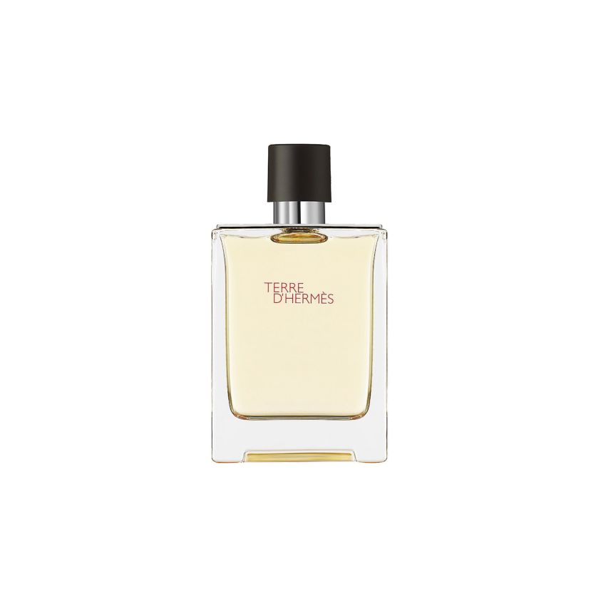 Hermes Terre D'Hermes Eau De Toilette Vaporisateur 100Ml