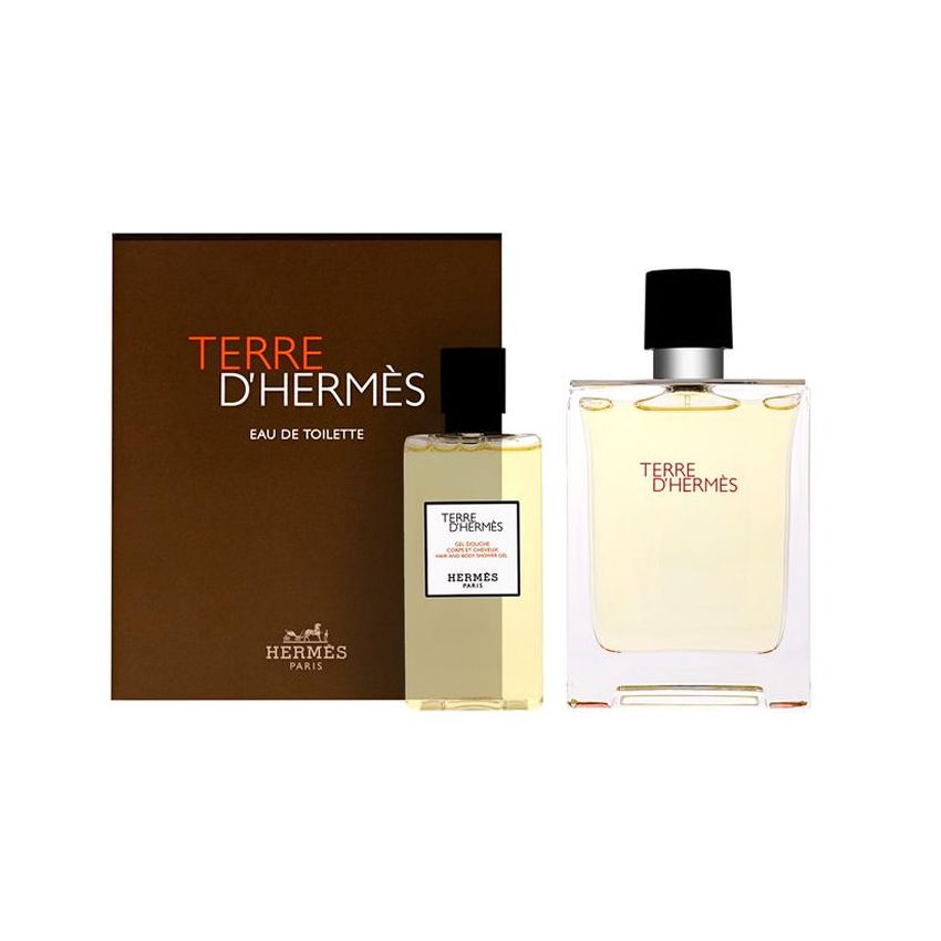 Hermès Terre Dhermes Eau De Toilette Vaporisateur 100Ml Coffret 2 Produits