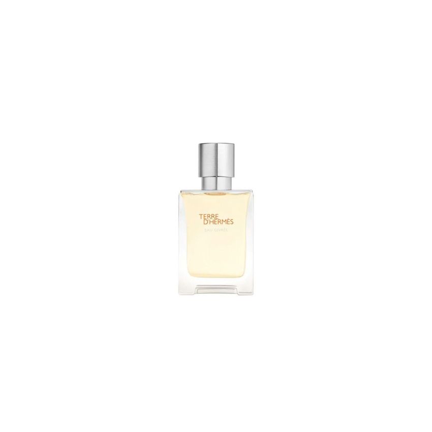 Hermès Terre D'Hermès Eau Givrée Eau De Parfum Refillable 50Ml