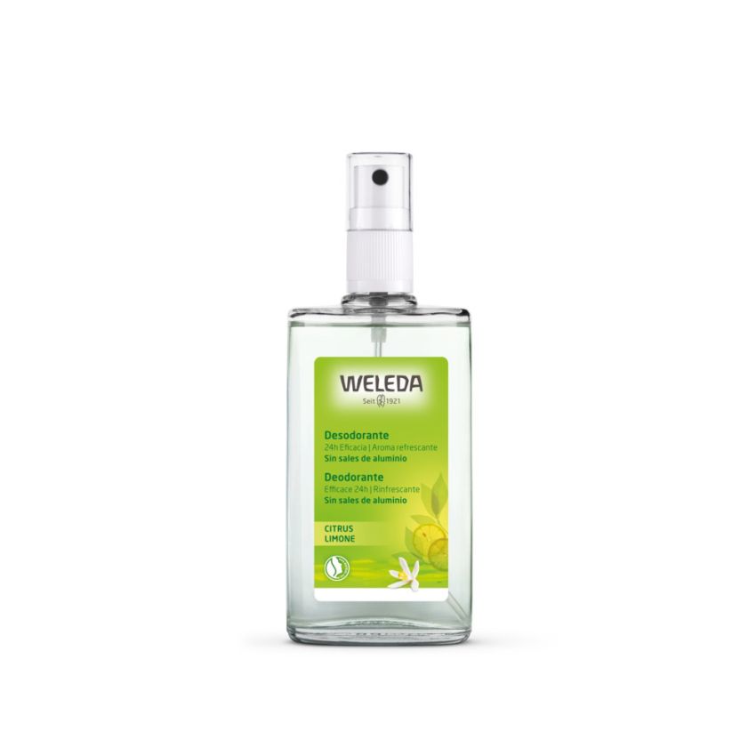 Citrus Desodorante 24H Eficacia Spray - 100 Ml