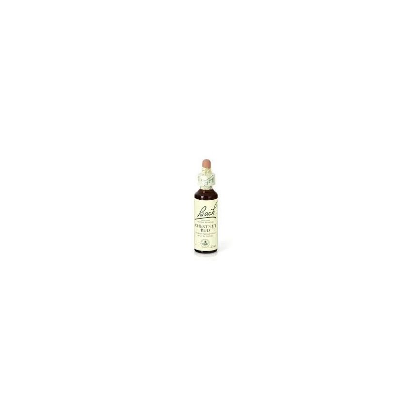 Bach 07 Chestnut Bud 20Ml