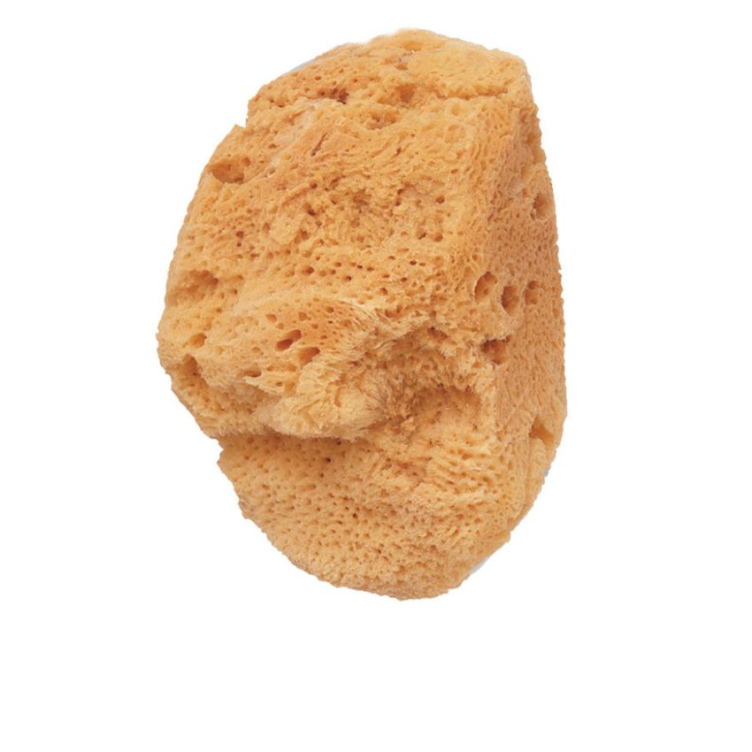Sponge Natural Sea - 1 U