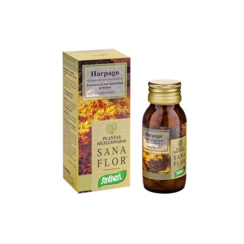 Santiveri Harpago 40 Comprimés