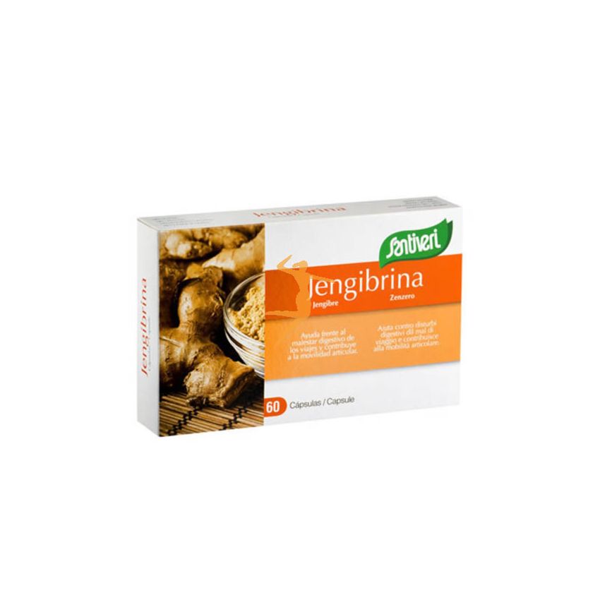 Santiveri Jengibrina  60 Capsules