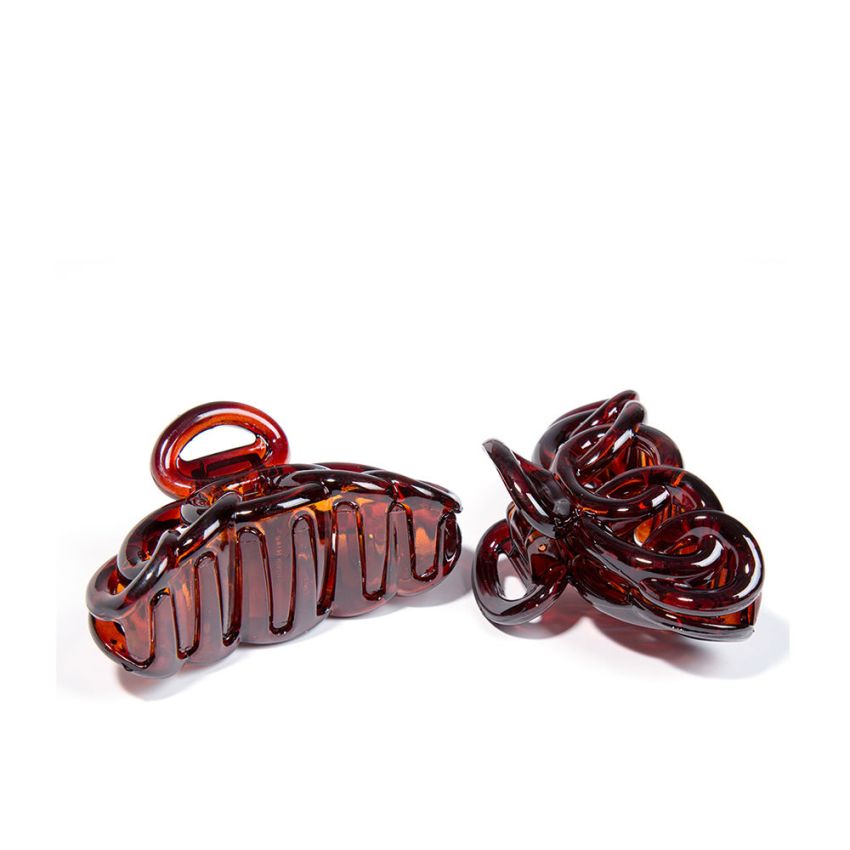 Grands Clips De Coquillages Français - 1 U