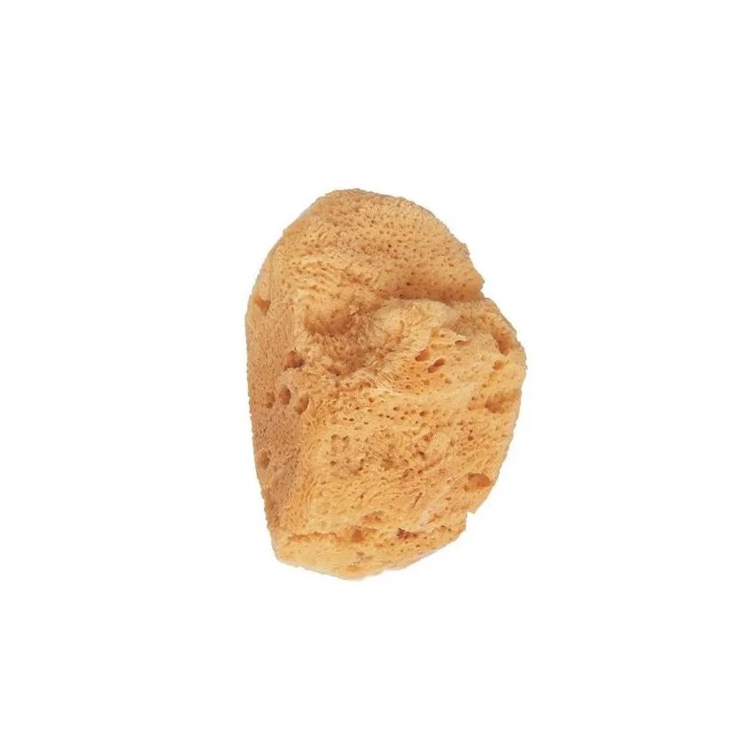 Eponge De Bain Beter Natural Marine Sponge