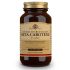 Solgar Bêta-Carotène 100% 7Mg 180 Gélules