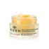 Nuxe Rêve De Miel Baume Lèvres Ultra Nourrissant 15G