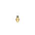 Paco Rabanne Million Gold Her Eau Parfum