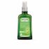 Huile Anti-Cellulite Bouleau - 100 Ml