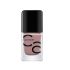 Vernis À Ongles Gel Iconails - 10-Rosywood Hills
