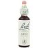 Bach 02 Aspen 20Ml