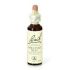 Bach 07 Chestnut Bud 20Ml
