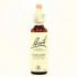 Bach 08 Chycori 20Ml