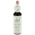 Bach 21 Mustard 20Ml
