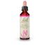 Flores De Bach (30) Sweet Chestnut - 20 Ml
