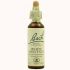 Bach 35 White Chestnut 20Ml