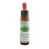 Santiveri Bach Recovery Remedy 10Ml