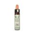 Santiveri Chêne De Bach 10Ml