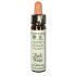 Santiveri Bach Rock Water 10Ml