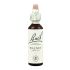 Santiveri Bach Noyer 10Ml