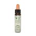 Santiveri Bach Marron Blanc 10Ml