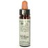 Santiveri Bach Willow 10Ml