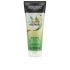Shampoing Détox & Réparateur - 250 Ml