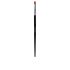 Brosse À Doublure Conique Lussoni Pro - 1 U