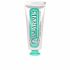 Classic Strong Mint Toothpaste - 25 Ml