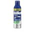 Series Espuma De Afeitar Piel Sensible - 250 Ml