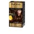 Oleo Intense Coloration Sans Ammoniaque #6.76-Cuivre Ambré - 4.18-Chocolate