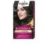Palette Intensive Tinte - 4-Brun Intense