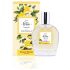 Fruit Tea Collection Vainilla - 100 Ml