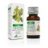 Soria Esencia De Niaouli 15Ml