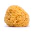 Esponja Natural #Grande - 1 U