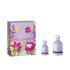 Halloween Coffret - 2 U
