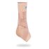 Chevillère Élastique Coussin Malléolaire Silicone 8 L P706Bg