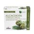 Nature Essential Artichaut + Prêle 430Mg
