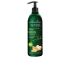 Lait Corporel Tonifiant Au Gingembre Super Food - 400 Ml
