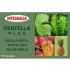 Integralia Centella Asiatica Plus 60 Caps