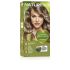Naturtint - 8A Rubio Ceniza