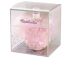 Brume Chatoyante Shimmer Fragrance - Shimmer Fragrance Brume Brillante #Rose