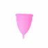 Stérilisateur De Coupe Menstruelle Farma - Stérilisateur Coupe Menstruelle Farma #Moyen