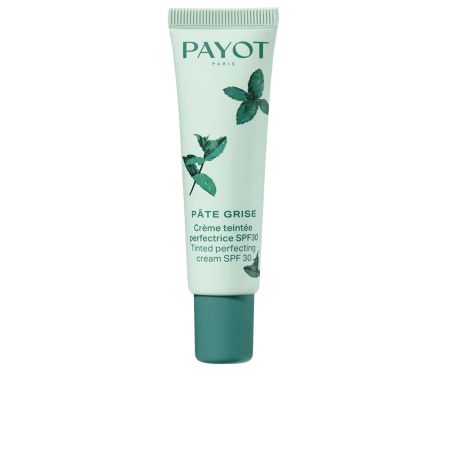 Payot Pâte Grise Crema Perfeccionadora Con Color Spf30 Ed Lim 20ml