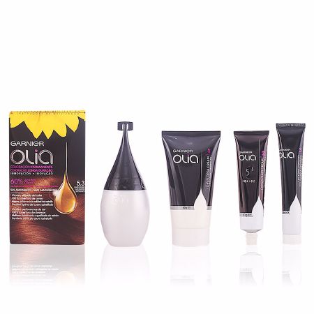 Garnier Olia Permanent Coloring 5,3 Capuccino