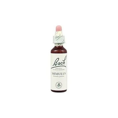 Bach 06 Cherry Plum 20ml