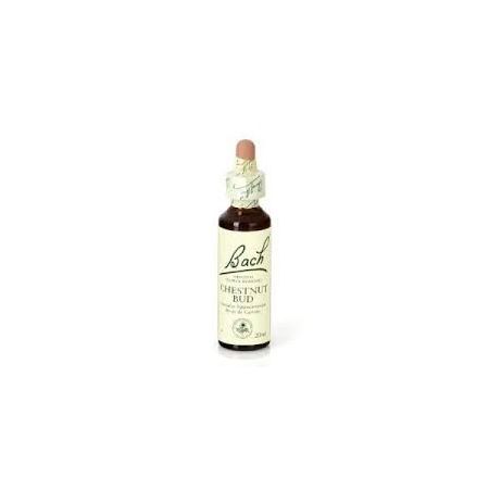 Bach 07 Chestnut Bud 20ml