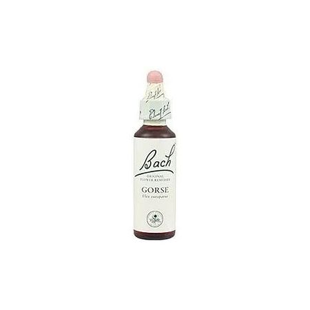 Bach 13 Gorse 20ml