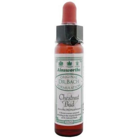 Santiveri Bach Bourgeon De Châtaignier 10ml